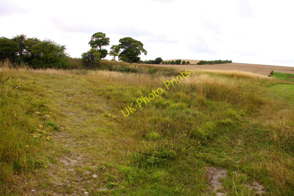 Photo 6"x4" Looking towards the Ridgeway on Blowingstone Hill Kingston Lisle c2010