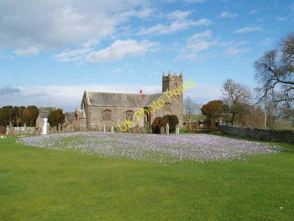 Photo 6"x4" Borgue Kirk - at crocus time. Borgue\/NX6348 c2007
