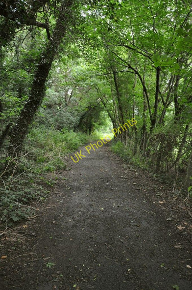 Photo 6"x4" Castle Lane leading away from Challowell Lane Knowle\/SS4938 c2010