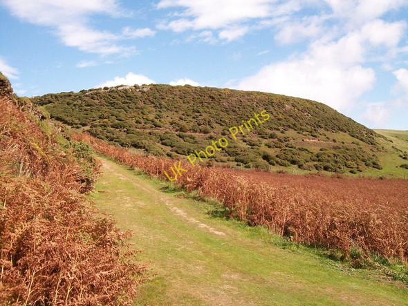 Photo 6"x4" The path uphill towards Pant Farm Machroes c2010