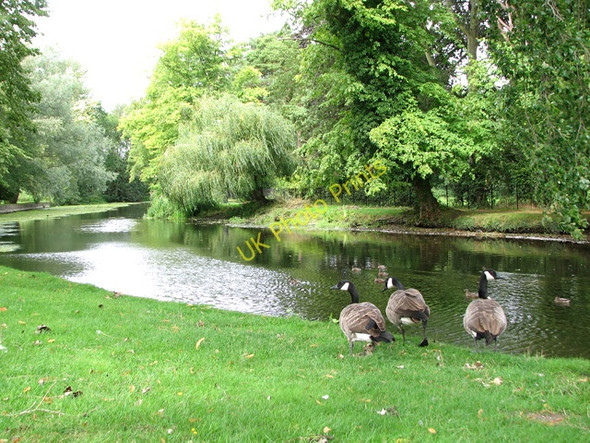 Photo 6"x4" The Little Ouse River by Nuns Bridges, Thetford Thetford\/TL8783 c2010