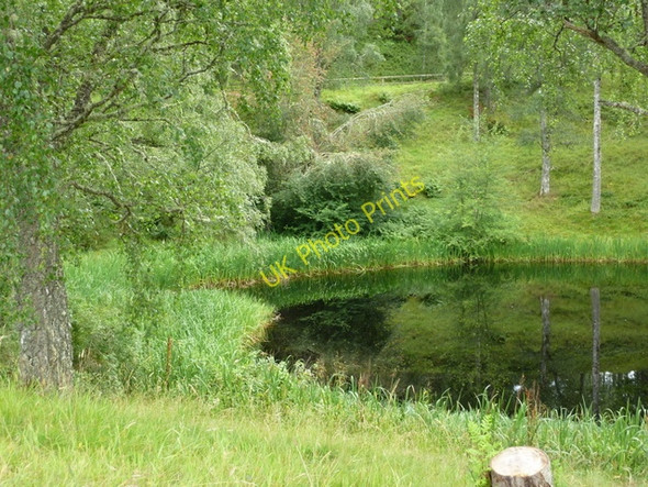 Photo 6"x4" Pond at Inshriach House Alvie c2010