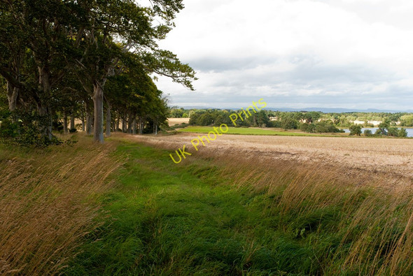 Photo 6"x4" Field near Midoxgate Loandhu c2010