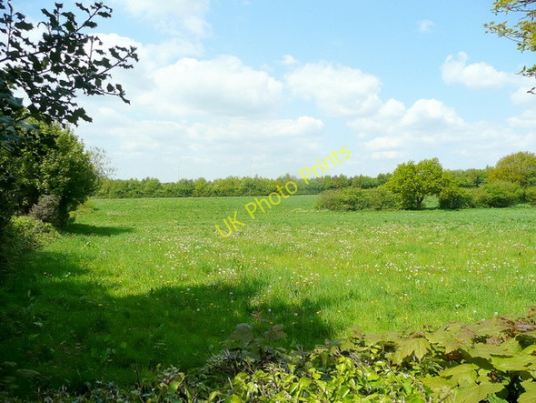 Photo 6"x4" Pastoral scene Upper Catshill c2010