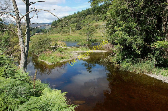 Photo 6"x4" A tranquil corner on the Tweed Thornielee c2010