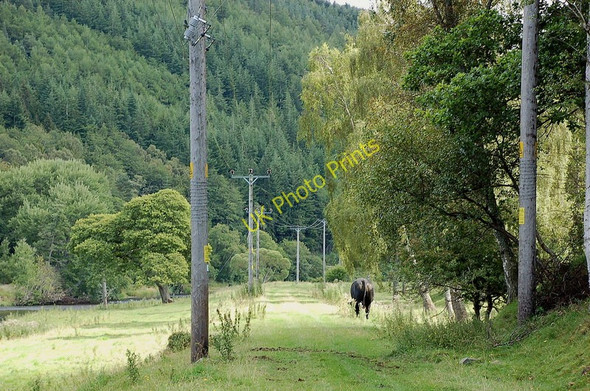 Photo 6"x4" Route of the Galashiels - Peebles railway line Holylee c2010