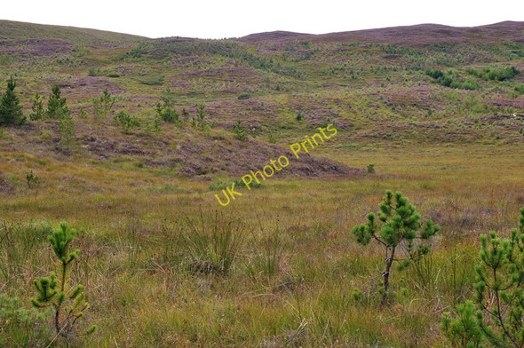 Photo 6"x4" Moorland near Carbisdale Torroy c2010