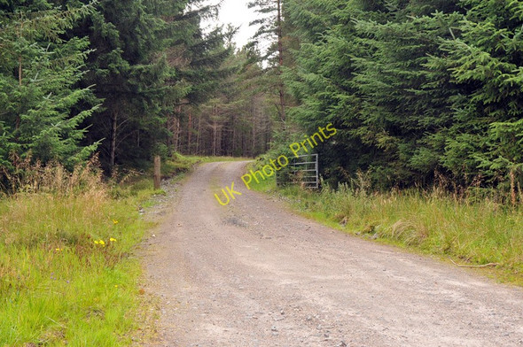 Photo 6"x4" Entrance to Birchfield Wood Achnahanat c2010