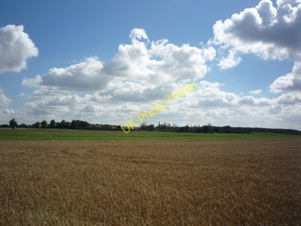 Photo 6"x4" Escrick Estate from Sheep Walk Escrick c2010