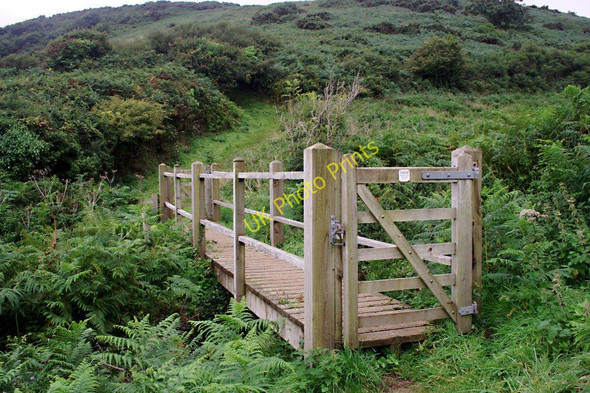 Photo 6"x4" Footbridge on the Coast Path Portholland c2010