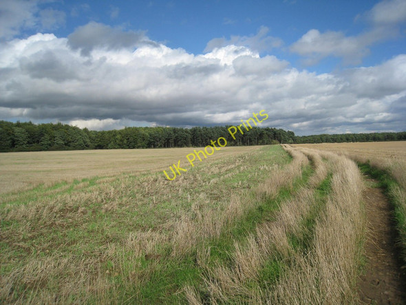 Photo 6"x4" View towards West Wood Broughton\/SE9608 c2010