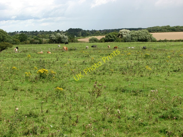 Photo 6"x4" The site of the deserted village of Pudding Norton Colkirk c2010