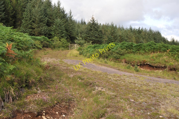 Photo 6"x4" Track into forestry in Glen Loy Muirshearlich c2010