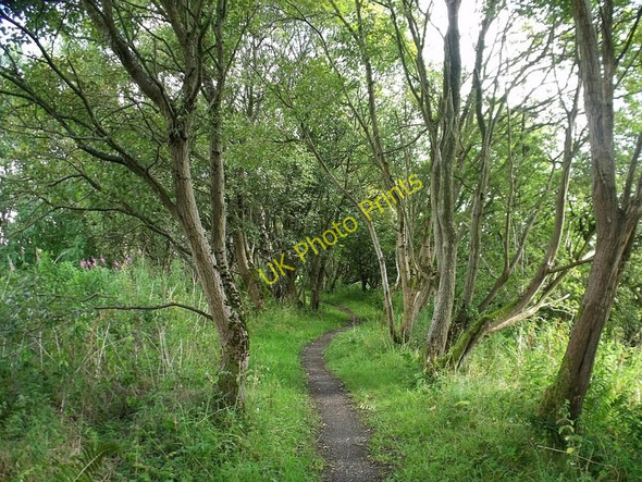 Photo 6"x4" Kelvin Valley Way, Birdston Kirkintilloch c2010