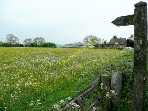 Photo 6"x4" Footpath sign and Merryfields Farm Kniveton c2010
