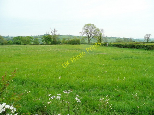Photo 6"x4" Derbyshire pastoral scene Kniveton c2010