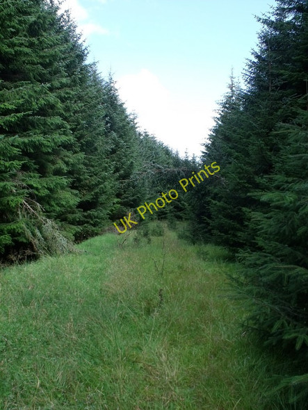 Photo 6"x4" Towards the end of the track High Banton c2010