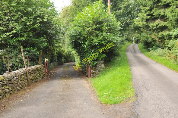 Photo 6"x4" Driveway to Boreland House Monemore c2010