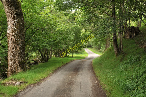 Photo 6"x4" Road through Glen Lochay Tullich\/NN5136 c2010