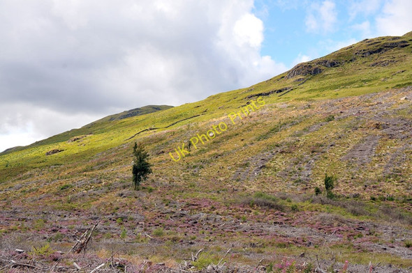 Photo 6"x4" Clear felled forest in Glen Lyon Cashlie c2010