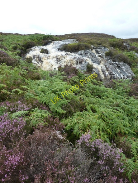 Photo 6"x4" Allt na h-Innse Aonair Kinnauld c2010