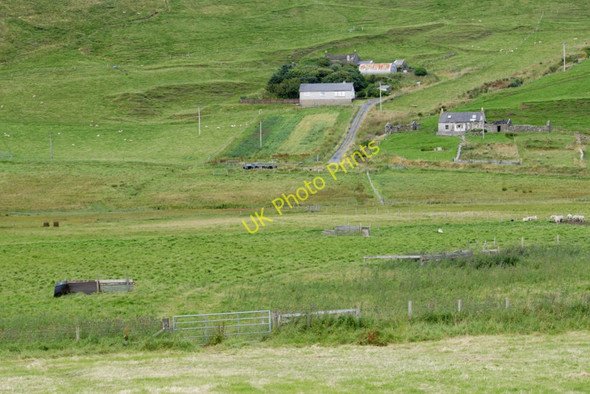 Photo 6"x4" Valyie, Norwick Kirkaton c2010