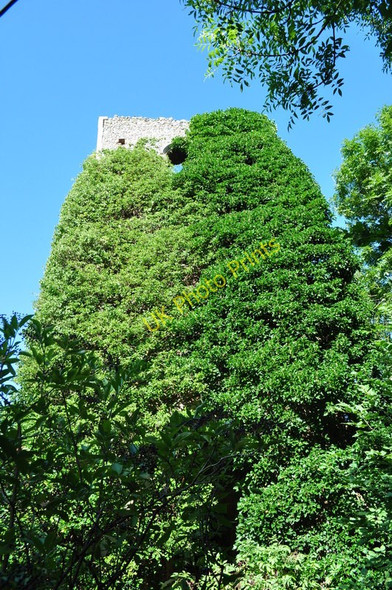 Photo 6"x4" Gillingham All Saints Beccles c2010