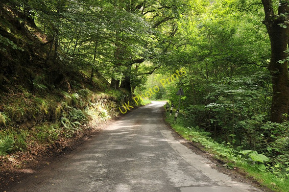 Photo 6"x4" Road through woodland in Glen Lyon Invervar c2010 P1