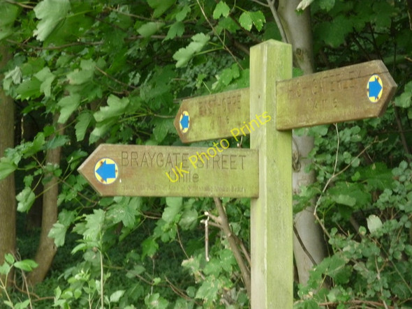 Photo 6"x4" Walking the Howardian Hills and beyond #56 Amotherby c2010