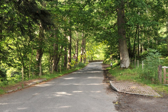 Photo 6"x4" Road through woodland in Glen Lyon near Glenlyon House Fortingall c2010