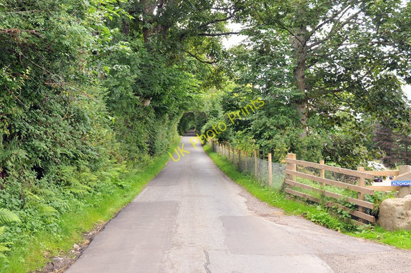 Photo 6"x4" South Loch Tay road Acharn\/NN7543 c2010