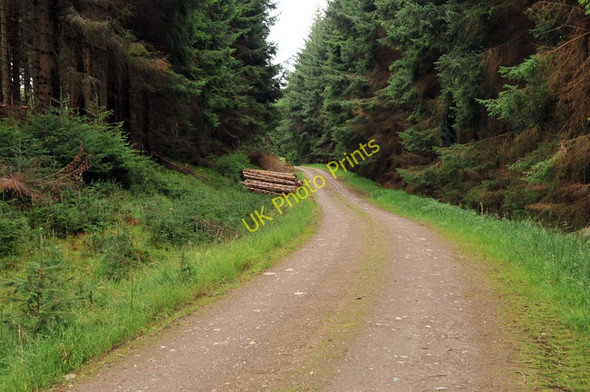 Photo 6"x4" Forestry road at Kepranich Fearnan c2010