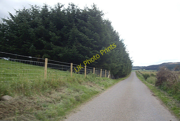 Photo 6"x4" Road south from Muirs of Kildrummy Kildrummy c2010