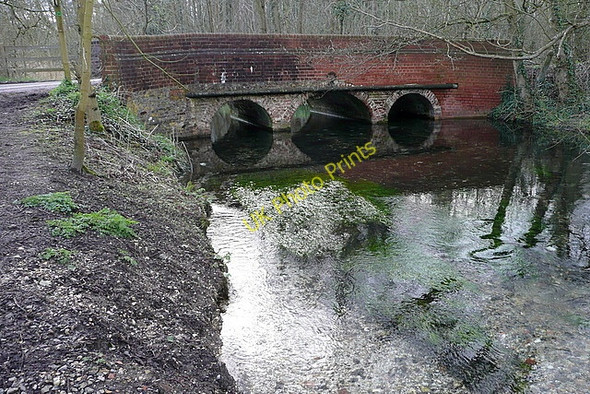 Photo 6"x4" River Loddon Old Basing c2010