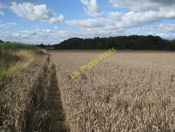 Photo 6"x4" Pailton to Monks Kirby footpath Pailton c2010