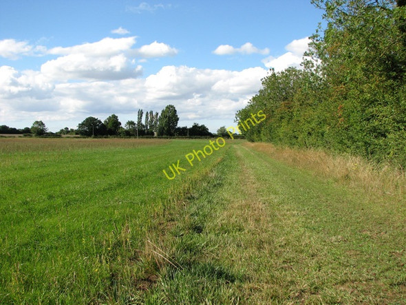 Photo 6"x4" Footpath to Black Carr Bunwell Bottom c2010