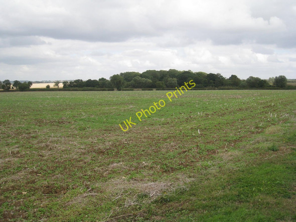 Photo 6"x4" View towards Blyborough Covert Yawthorpe c2010