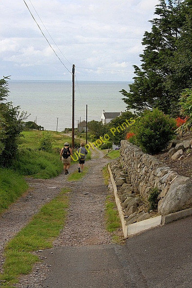 Photo 6"x4" Track to Port O'Warren Barend\/NX8855 c2010