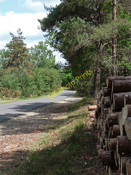 Photo 6"x4" New Road, South Ambersham (2) South Ambersham c2010