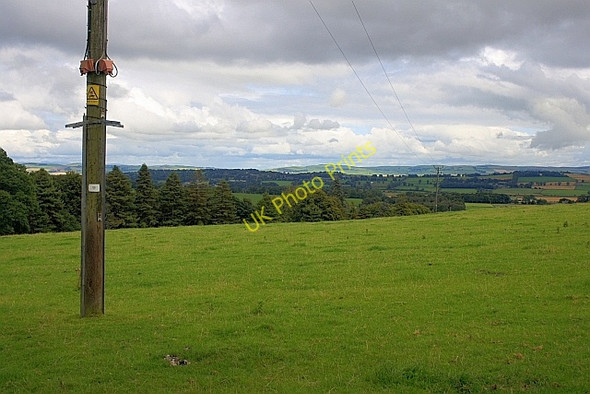 Photo 6"x4" Field Near Mabie House Hotel Islesteps c2010