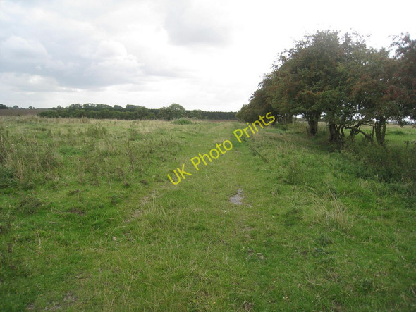 Photo 6"x4" Track through Southorpe deserted village Northorpe\/SK8997 c2010