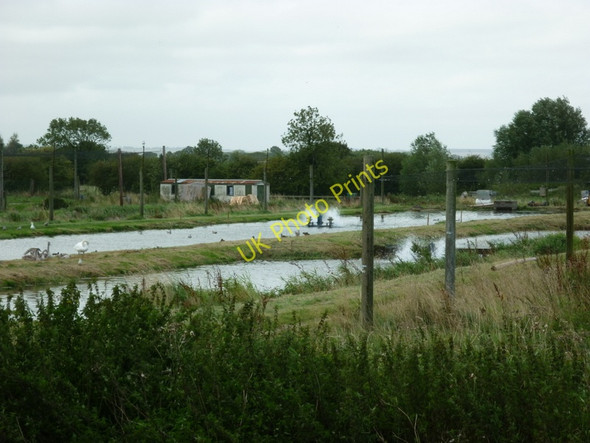 Photo 6"x4" A walk from Pickering #11 Pickering\/SE7984 c2010