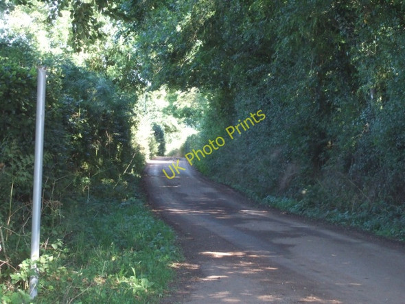 Photo 6"x4" Looking east from Pennslade Cross Appledore\/ST0614 c2010