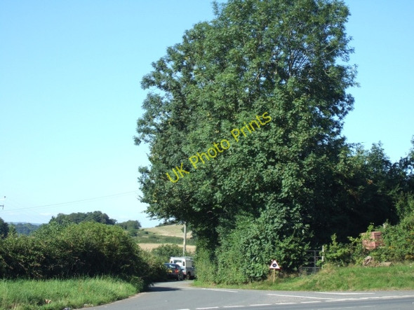 Photo 6"x4" Minor road into Appledore Appledore\/ST0614 c2010