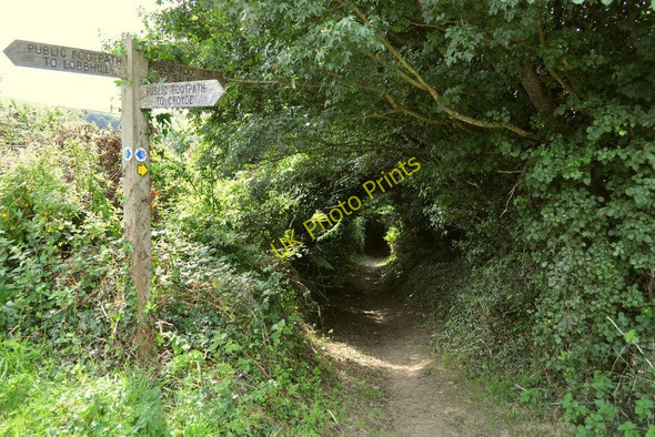 Photo 6"x4" A junction of Footpaths on Milkaway Lane Croyde c2010