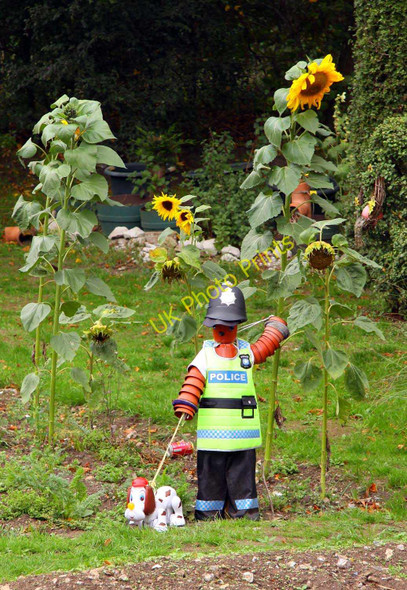 Photo 6"x4" P.C.Scarecrow and his dog on the allotment Piddington\/SU8094 c2010