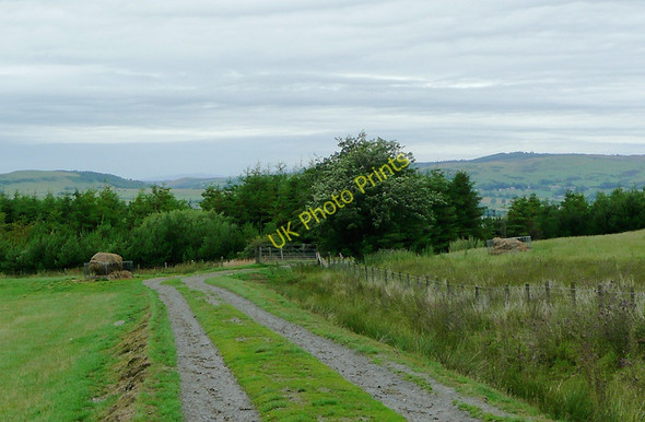 Photo 6"x4" Farm track north-east of Tregaron, Ceredigion Allt-ddu\/SN7063 c2010