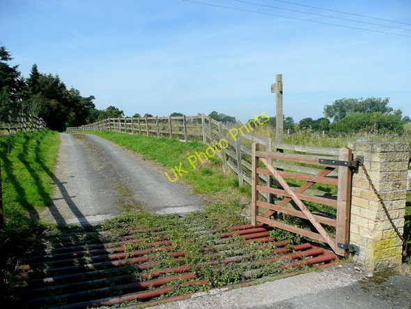 Photo 6"x4" Bridleway across New Court Lugwardine c2010