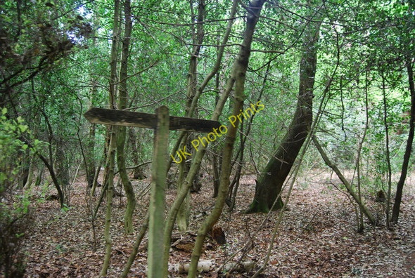 Photo 6"x4" Fingerposts, Marley Common Haslemere c2010