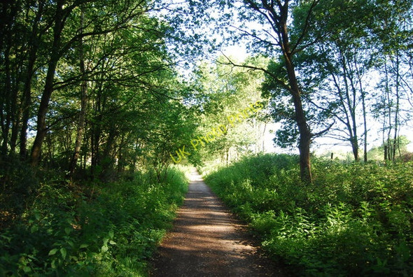 Photo 6"x4" Downs link heading north, Run Common Grafham\/TQ0241 c2010